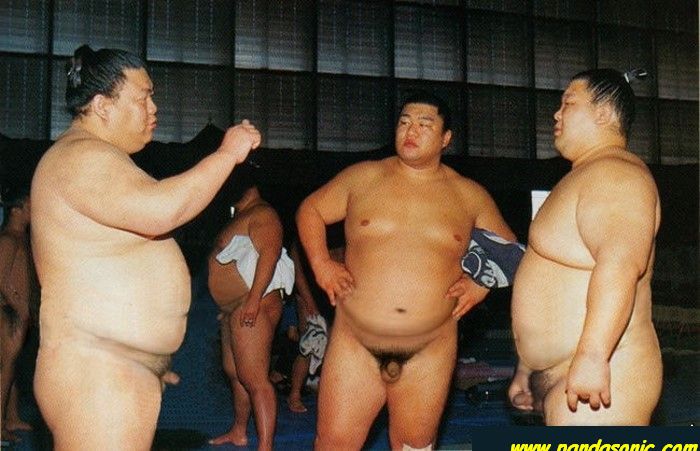 sumo.jpg
