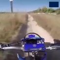 vid-2